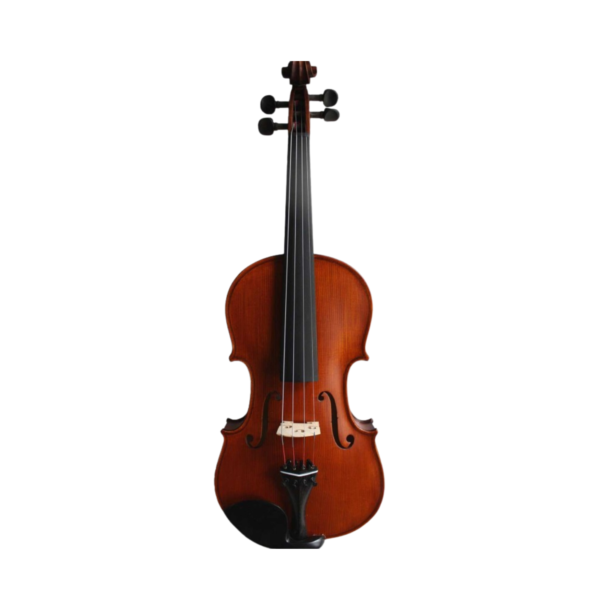 Violoncelle Gliga Genial 1/2 (8-10 ans)